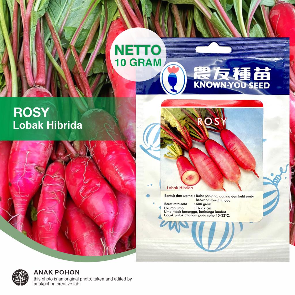 (1 PACK) Benih Lobak Merah Muda ROSY Hibrida Chinese Rose Radish Seeds - Known You Seed KYS - 10 GRAM