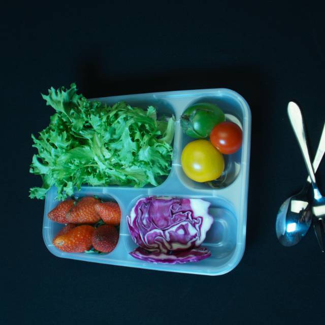 Tempat Makan Tahan Panas/Thinwall Sekat 4A/Tempat Makan Plastik/Kotak Makanan