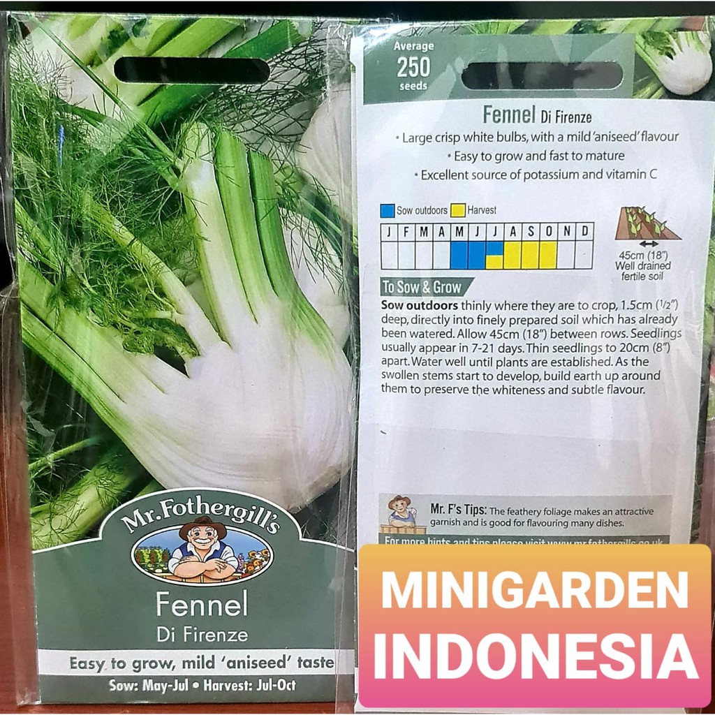 Benih FENNEL DI FIRENZE PACK 250 BIJI Mr Fothergills Bibit Tanaman Sayuran hidroponik