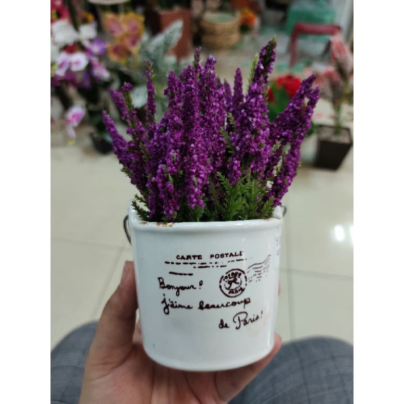 bunga lavender ungu pot keramik
