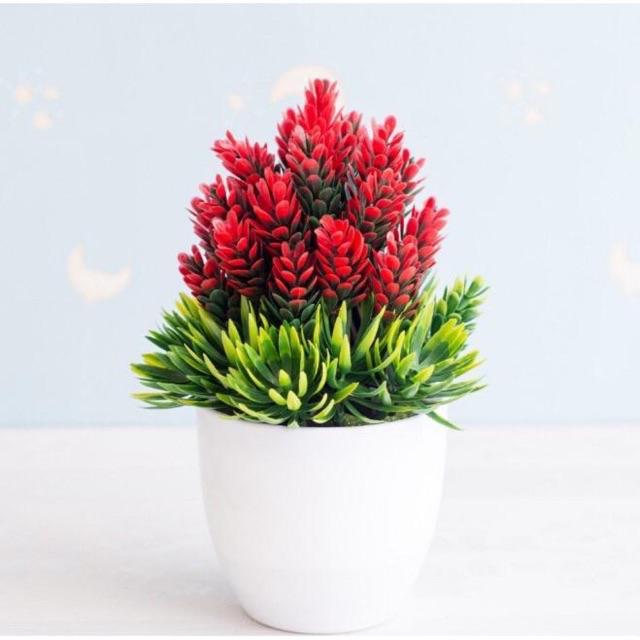 TIB / COD P2034 BUNGA PLASTIK/BUNGA PINUS/ BUNGA ARTIFISIAL PINUS MINI-Merah