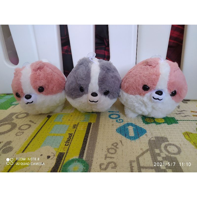 boneka anjing mix bomei pometan pom pomerian wawa games