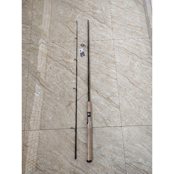 Joran Fenwick EAGLE GT 180