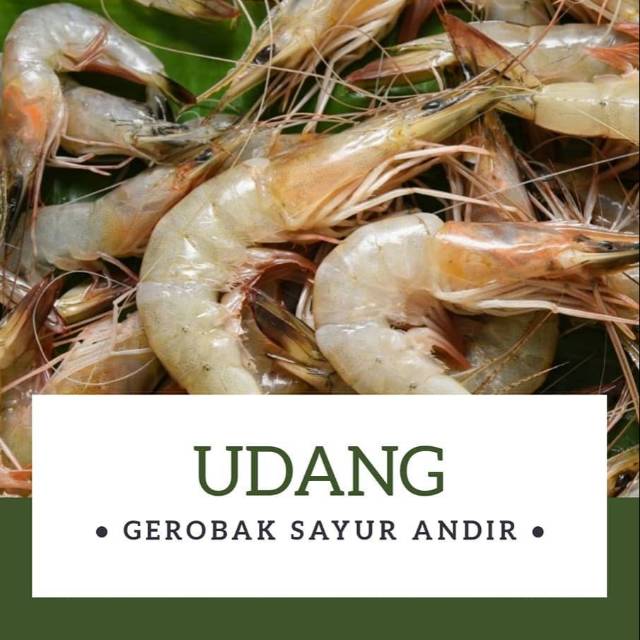 

UDANG PECI dan WINDU (kecil-sedang-besar) /kg