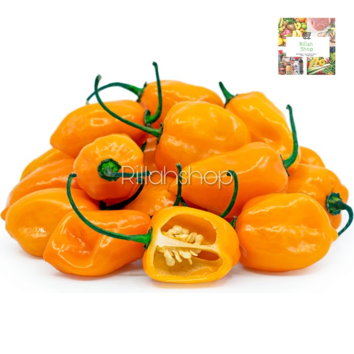 

Buah Cabai Habanero 100g
