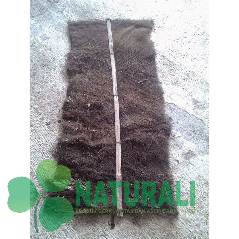 IJUK KAKABAN IKAN MURAH