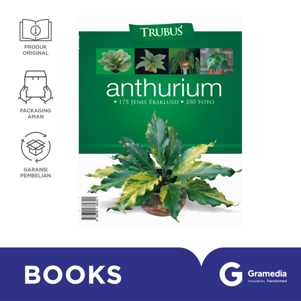 Trubus: Anthurium