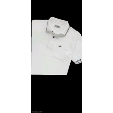 baju putih polo pria merk crocodile barang 100% original