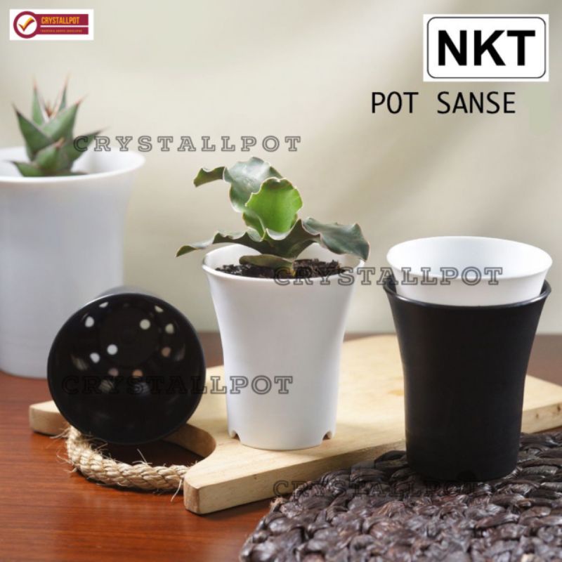 pot bunga tanaman nkt sanse 12 diameter 10,5 cm - NKT SANSE 12