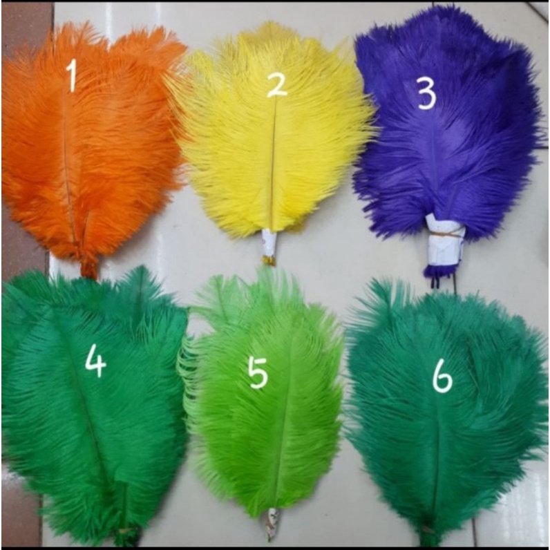 Bulu Dekorasi Ostrich uk. 20-25 cm