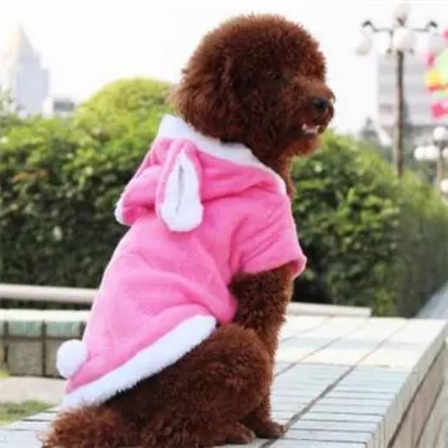 Baju hodie bunny lucu kucing kelinci anjing jaket hoodie