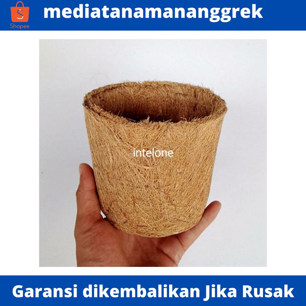 Pot anggrek dari sabut kelapa / pot tanaman anggrek / pot sabut kelapa murah