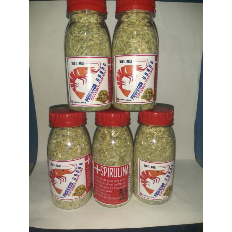 

udang spirulina