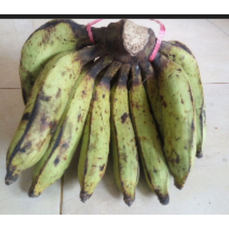 

Pisang Nangka
