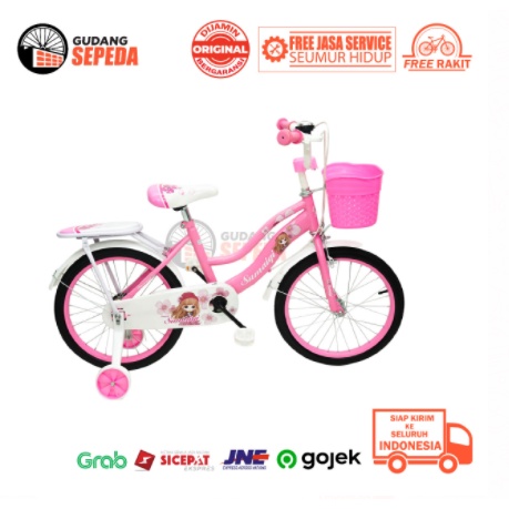 Khusus Exspedisi Sepeda Anak Perempuan Evergreen Daisy 12 16 18 inch Ungu Pink SNI Penguin COD kredit cewek BMX mini Ban pompa karet bukan plastik eva termurah terbaik gratis service seumur hidup-6