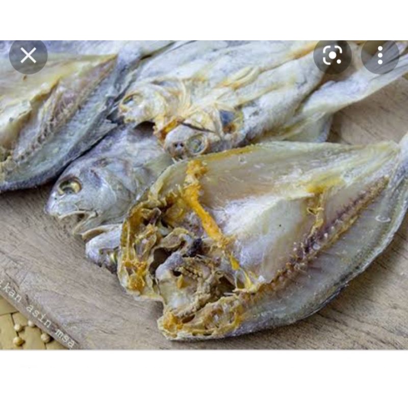 

ikan asin selungsungan
