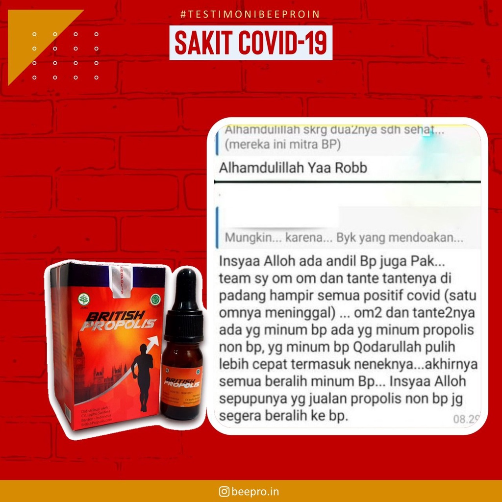 BRITHIS PROPOLIS ORIGINAL 100% ASLI BP BOSTER IMUNITAS MENAMBAH STAMINA MELAWAN VIRUS MENINGKATKAN IMUN MENGATASI MASALAH DIABETES KOLESTEROL ASAM URAT