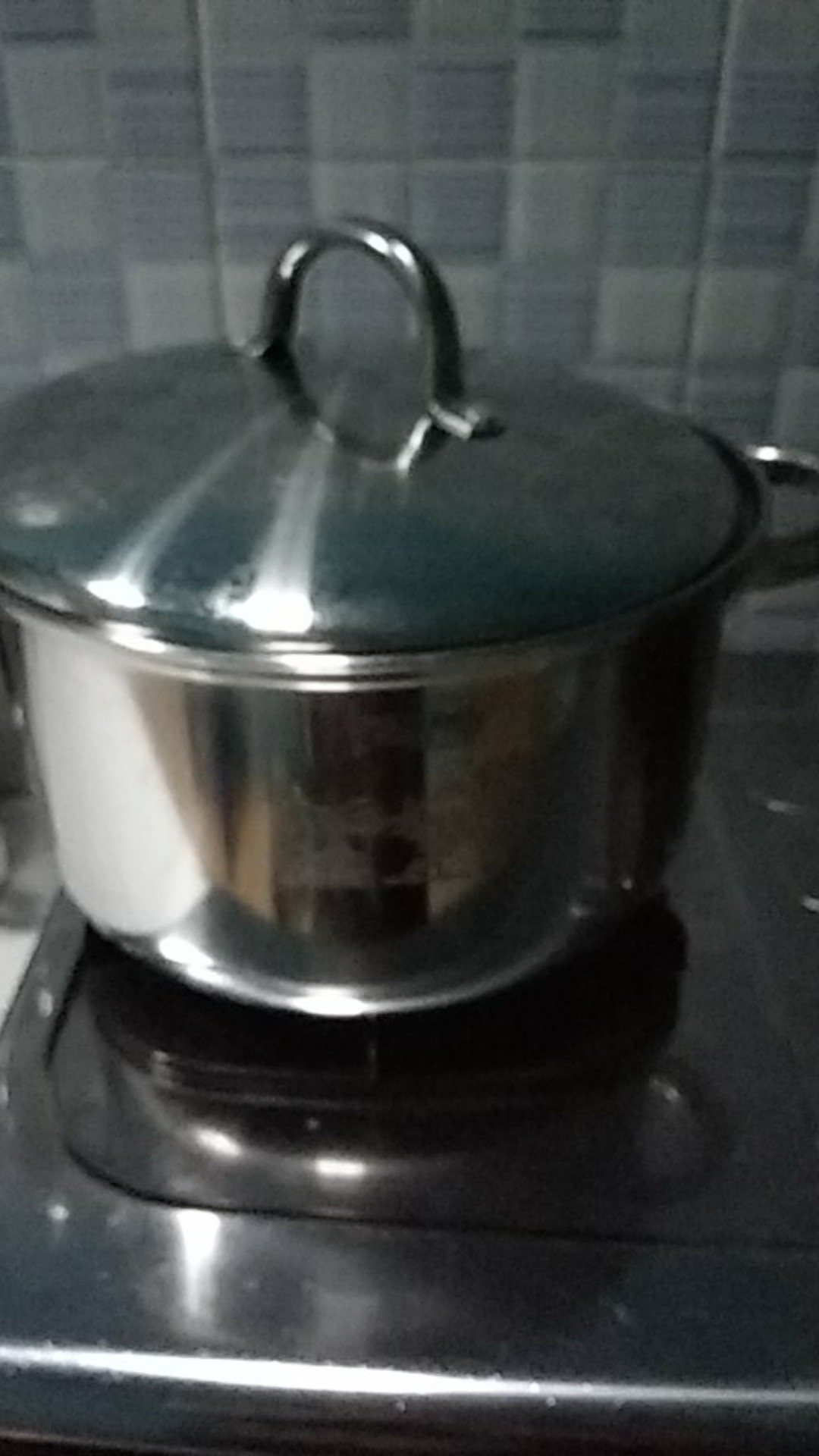 Panci 24cm Golden Flying Fish Stpc0424