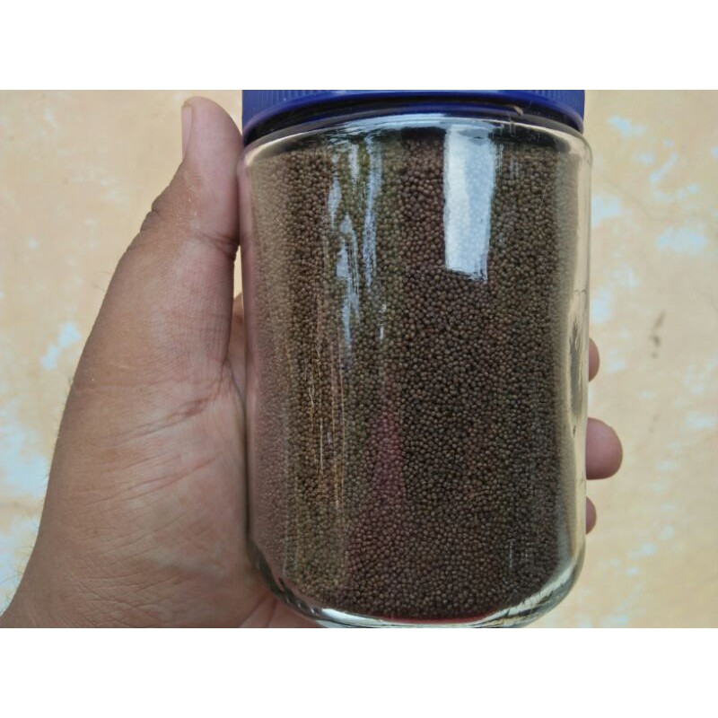 PELET IKAN PAKAN IKAN HIAS soliter cupang soliter selfie