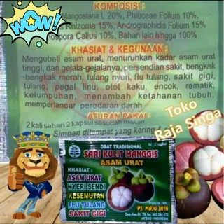 Asam Urat Obat Rematik Encok