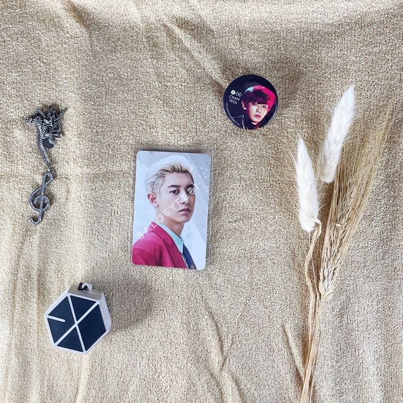 EXO CHANYEOL OFFICIAL EXPLORATION FORTUNE CARD PHOTOCARD (PC)