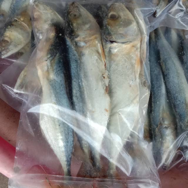 

Ikan Peda Bengkulu