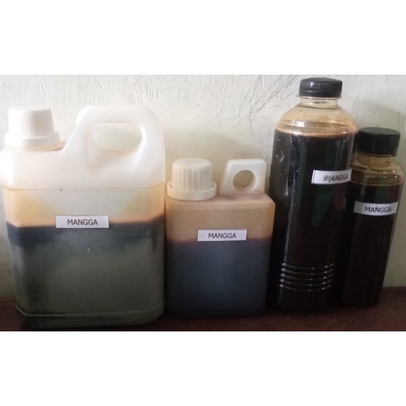 

MADU ASLI MURNI NEKTAR BUNGA MANGGA