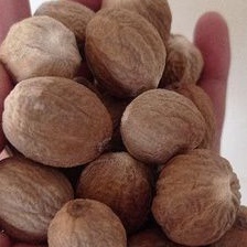 

BIJI PALA KUPAS KERING 100 GRAM