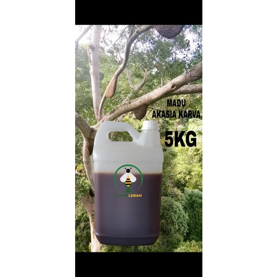 

madu asli dari bunga akasia carva 5000gr langsung dari peternak nya