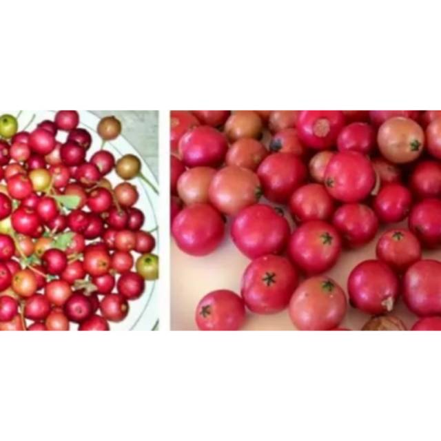 

Buah cery ataw kersem buah lokal