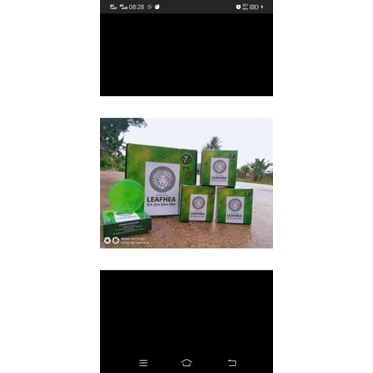 Leafhea gluta soap
