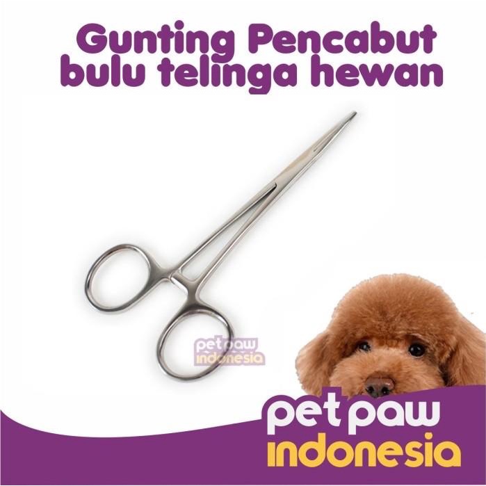 Gunting Pembersih / Pencabut Bulu Telinga Anjing Kucing Hewan Lurus