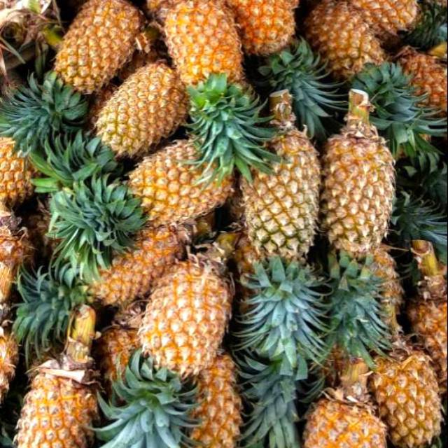 Nanas Palembang Nanas Kupas Nanas Parut Nanas Selai bisa Nanas Palembang Nanas Kupas Nanas Parut Nanas Selai bisa