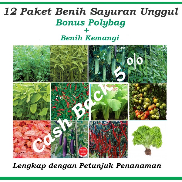 READY PAKET HEMAT BENIH/BIBIT ECERAN (SAYURAN DAN BUAH)