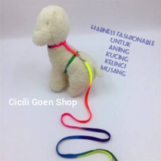 Harness badan H anjing kucing kelinci warna rainbow tali tuntun kitten puppy cat dog cantik
