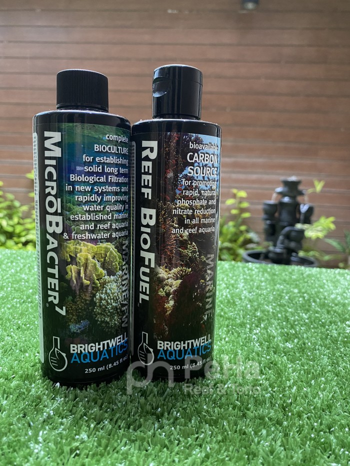 Bakteri Starter Brightwell - Microbacter7 MB7 - Reef Bio Fuel 250ml x2
