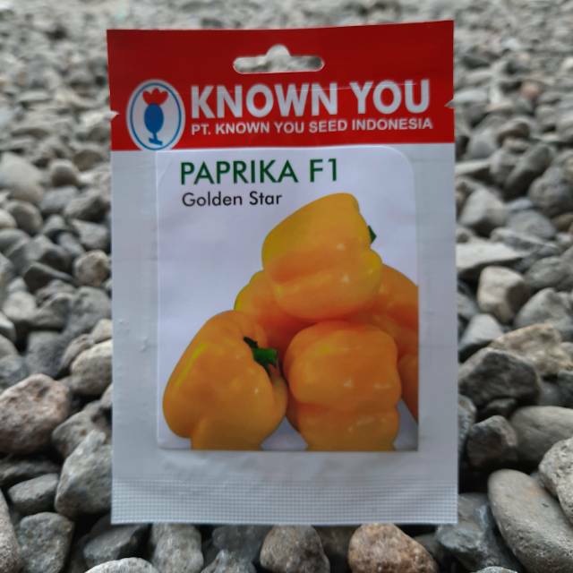 Benih Bibit Biji Paprika Kuning Golden Star F1 (15btr)