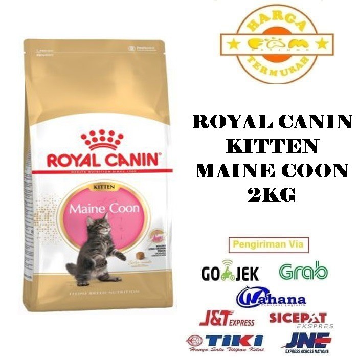 Royal Canin Maine Coon Kitten 2Kg - Makanan Kucing