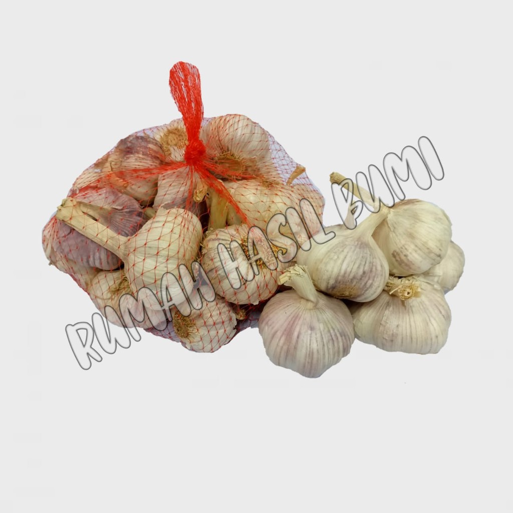 

Bawang Putih Honan/ banci 1 kg ( Panen Baru )