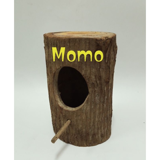 Glodok pohon burung Murai,,Lovebird ,,tanpa pintu belakang