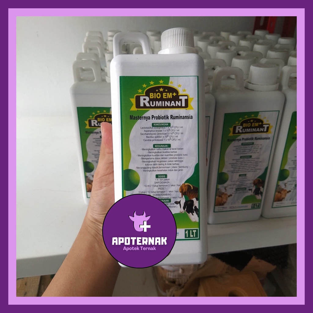 Probiotik Cair Ternak BIO EM+ 1 Liter Ruminant - probiotik sapi - Probiotik Kambing BIO EM+ RUMINANT Cair | Probiotik Fermentasi Pakan Ternak Sapi Kambing Domba | Apoternak