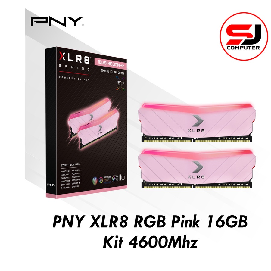 Ram PNY XLR8 RGB 16GB Kit 4600Mhz Pink Edition Memory Longdim