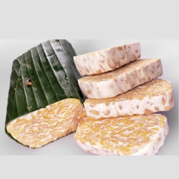 Tempe 1 pcs
