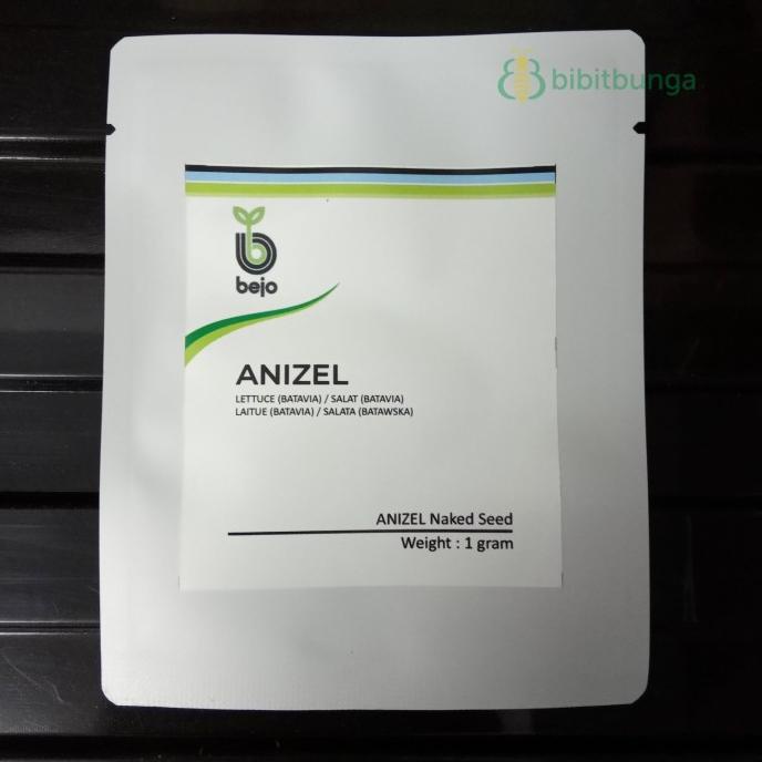 +++++] Benih Biji Bibit Lettuce Anizel Bejo Sayuran Selada Hidroponik Batavia