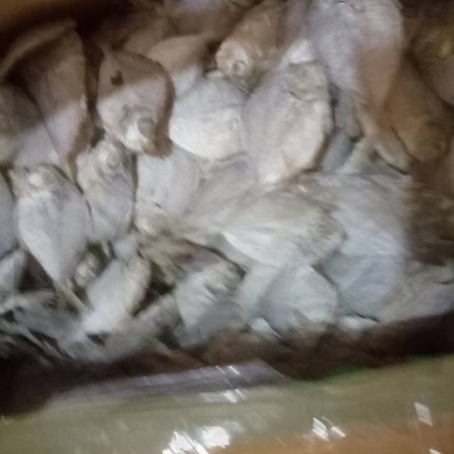 

Ikan asin