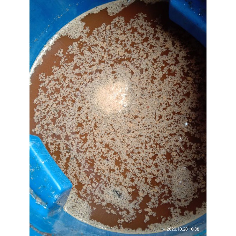 Pupuk Organik Cair (POC) Urine Kelinci 1liter