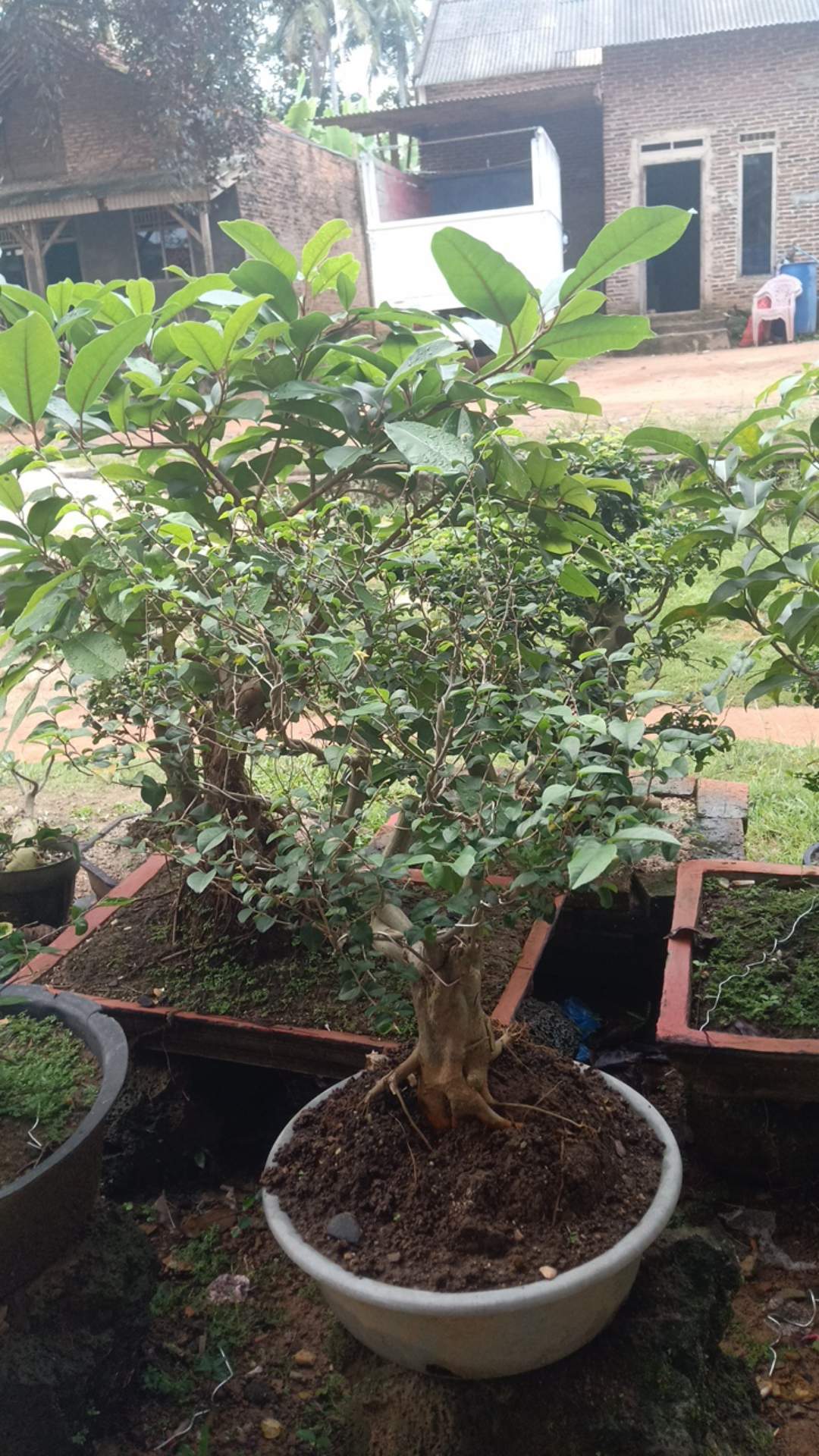 Engsel Pintu Jendela Mirip Stainless 5 Inch Sn