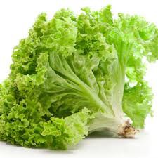 Selada Keriting / Lettuce 500 gr