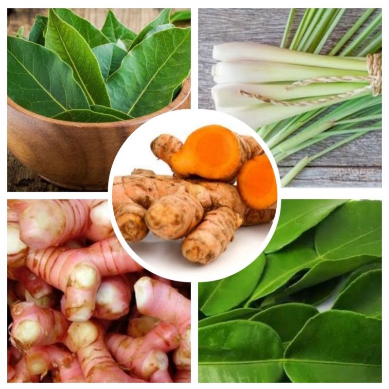 

Paket Bumbu Dapur Pelengkap masak