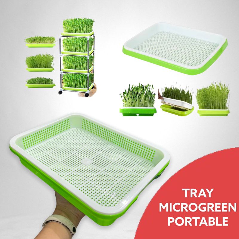 Tray microgreen hijau